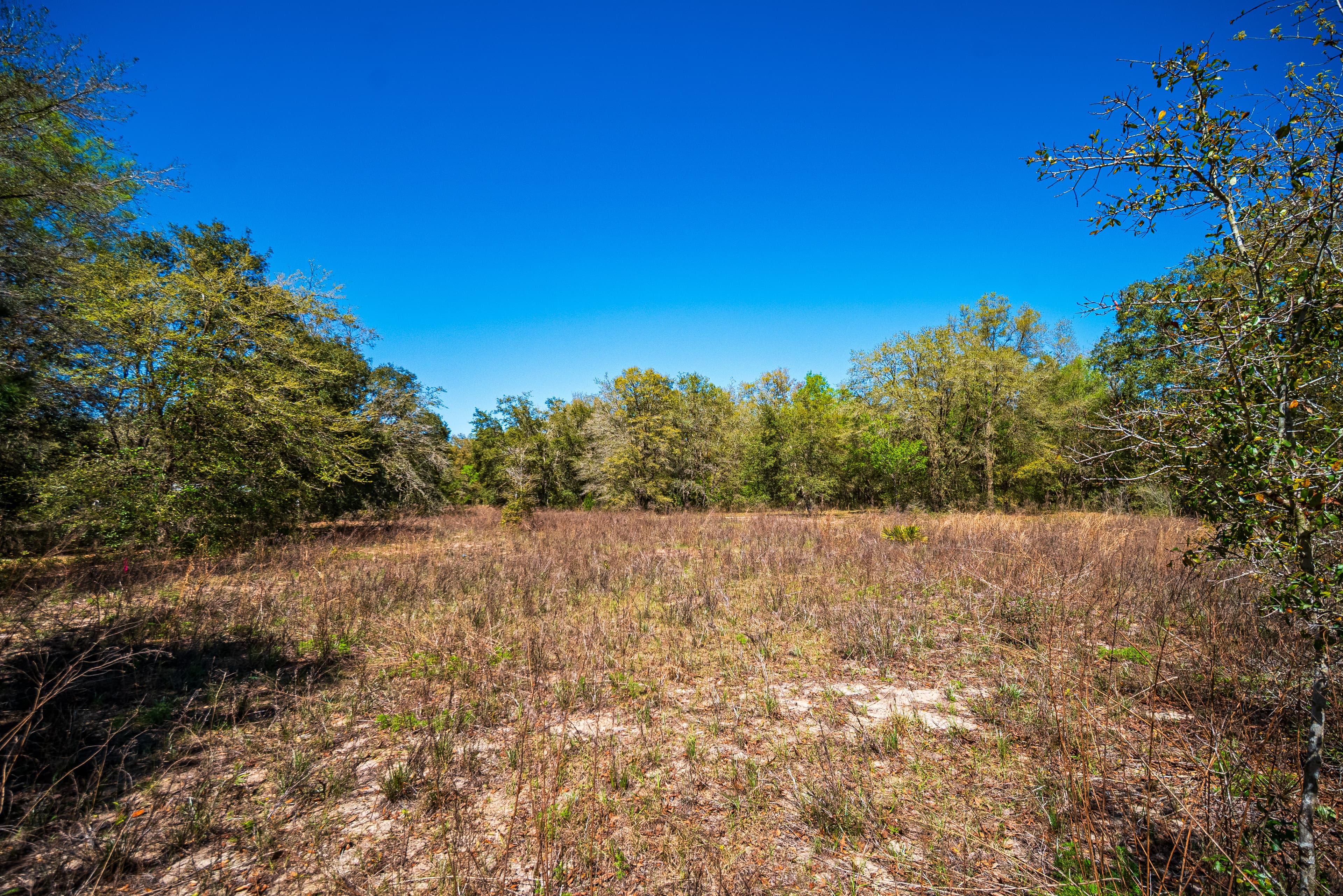 0.23 Acre Private Fishing Getaway